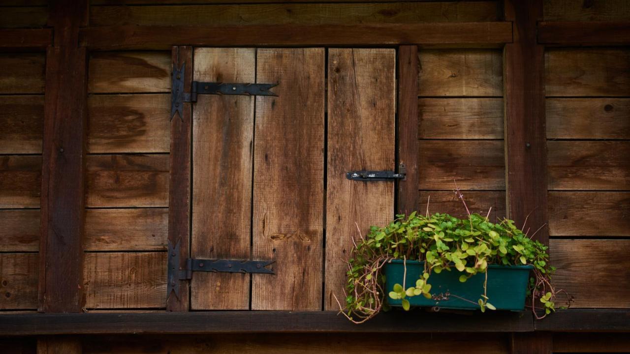 Epicos House, Your Home Away From Home. Nogueira  Buitenkant foto