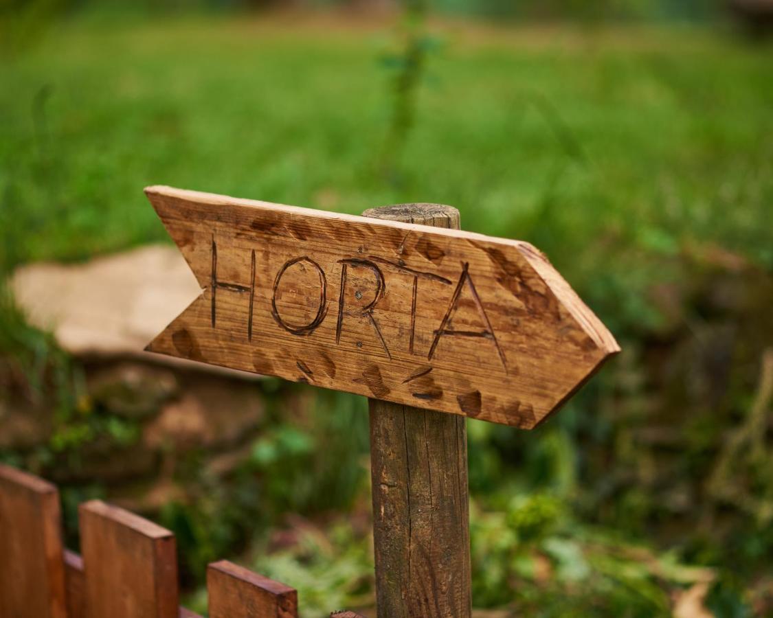 Epicos House, Your Home Away From Home. Nogueira  Buitenkant foto